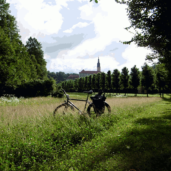 Bild ohne Beschreibung